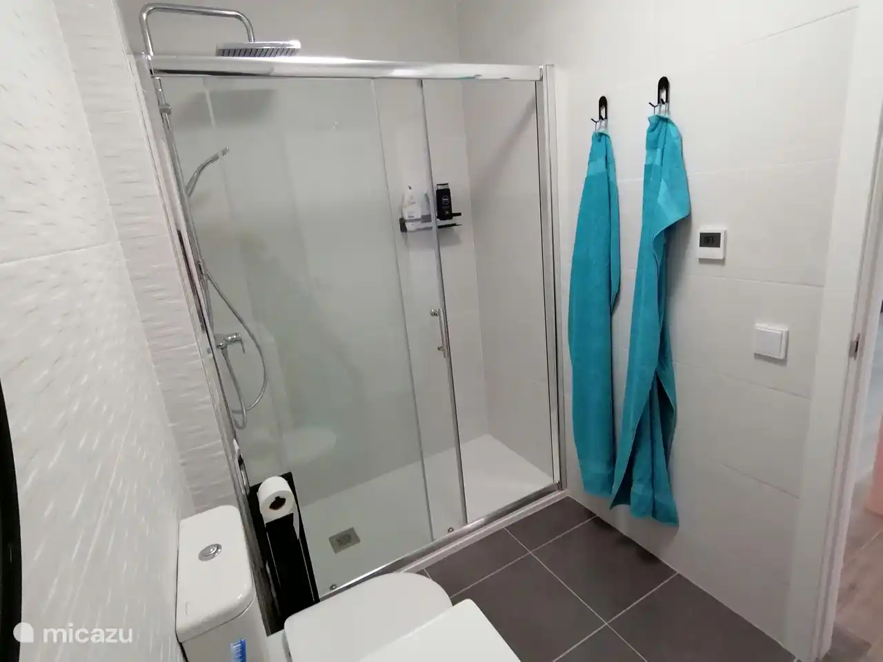 douche à l'italienne