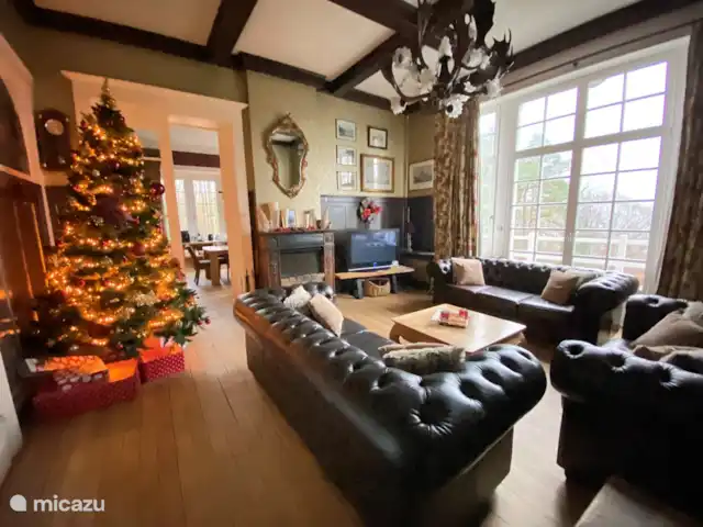 Le Soyeureux huren in België, Ardennen, Spa - landhuis / kasteel Gezellige lounge met open haard, versierd met kerstversiering.