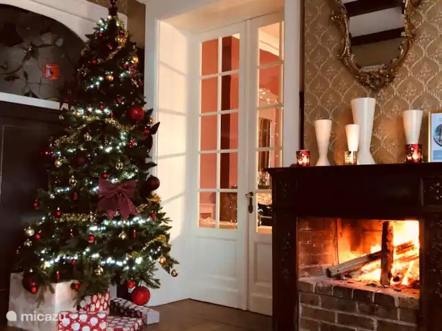 Le Soyeureux huren in België, Ardennen, Spa - landhuis / kasteel Gezellige lounge met open haard, versierd met kerstversiering.