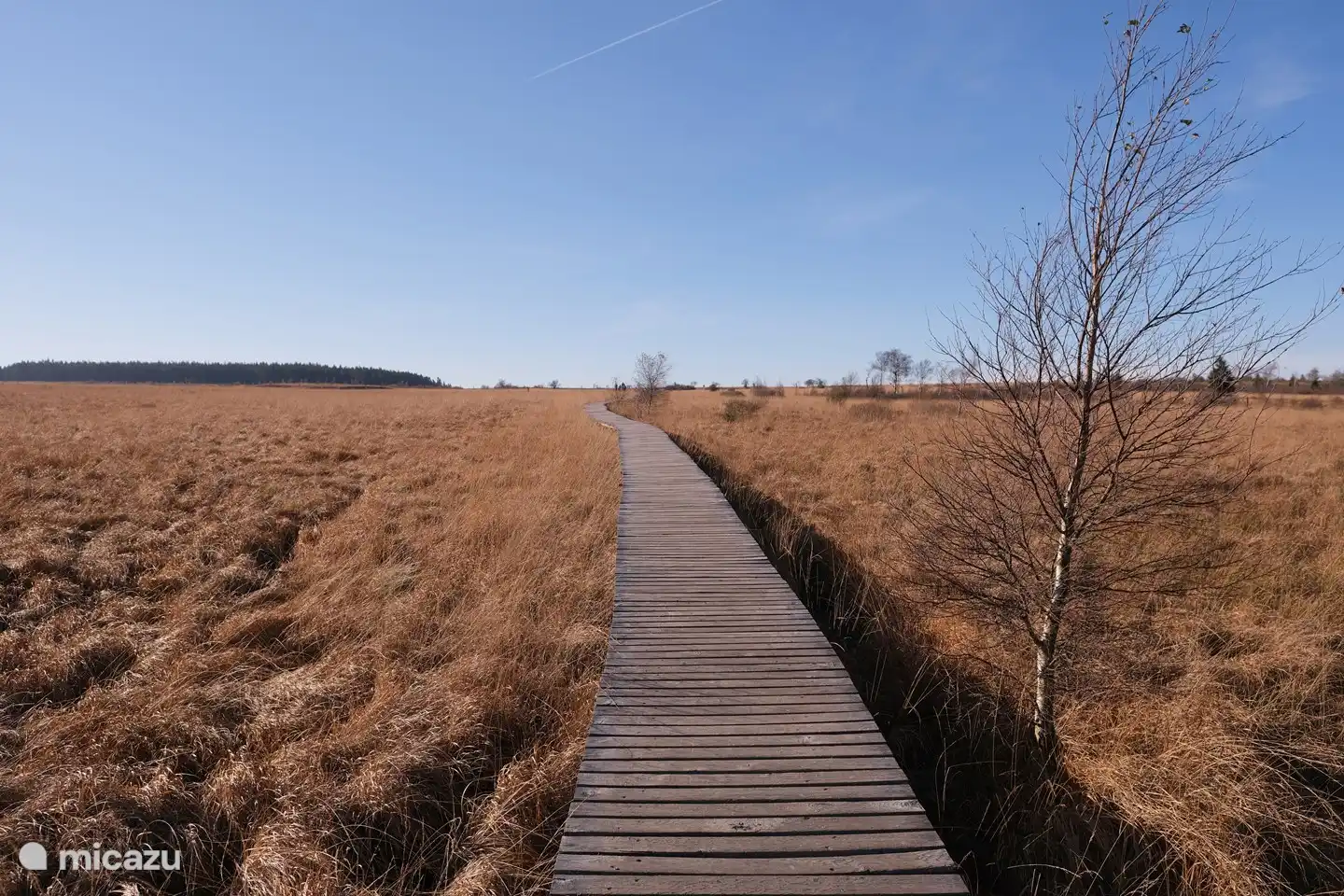 Das Hohe Venn ist zweifellos eines der ursprünglichsten Naturstücke der Ardennen und der Eifel und zählt zu den bekanntesten Touristenattraktionen der Ostkantone.