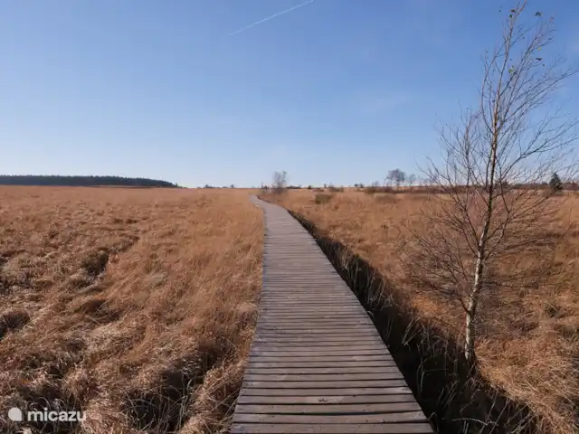 Le Soyeureux huren in België, Ardennen, Spa - landhuis / kasteel De Hoge Venen zijn ongetwijfeld één van de meest ongerepte stukjes natuur van de Ardennen en de Eifel en zijn één van de bekendste toeristische trekpleisters van de Oostkantons.