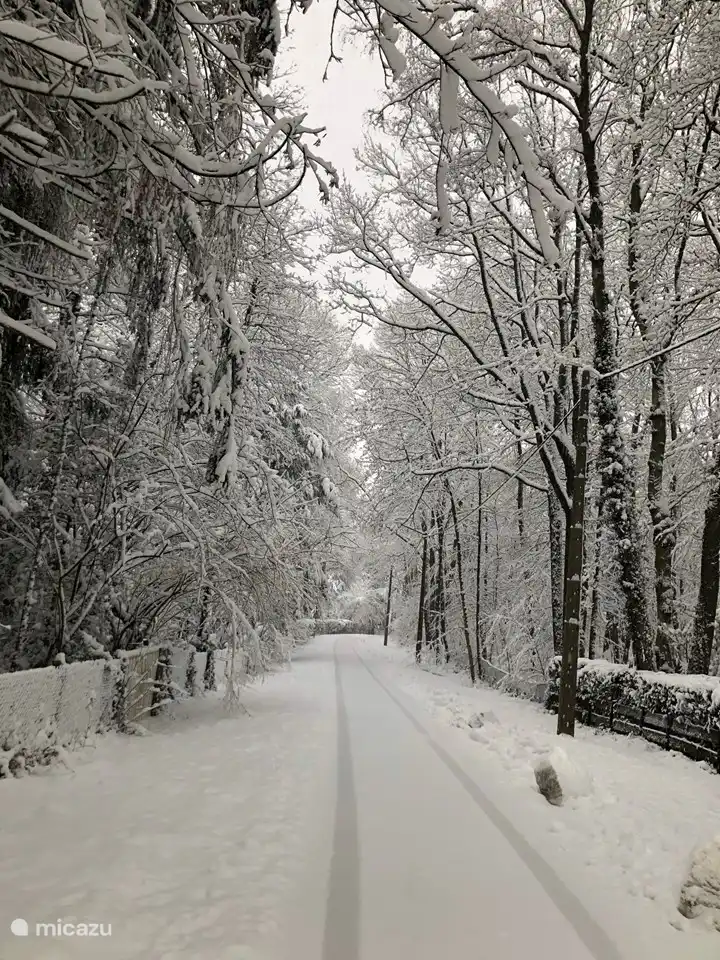Schöne Ardennen in winterlicher Atmosphäre - meist im Januar oder Februar.