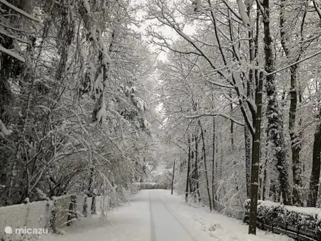 Le Soyeureux huren in België, Ardennen, Spa - landhuis / kasteel Prachtige Ardennen in winterse sferen - meestal in januari of februari.