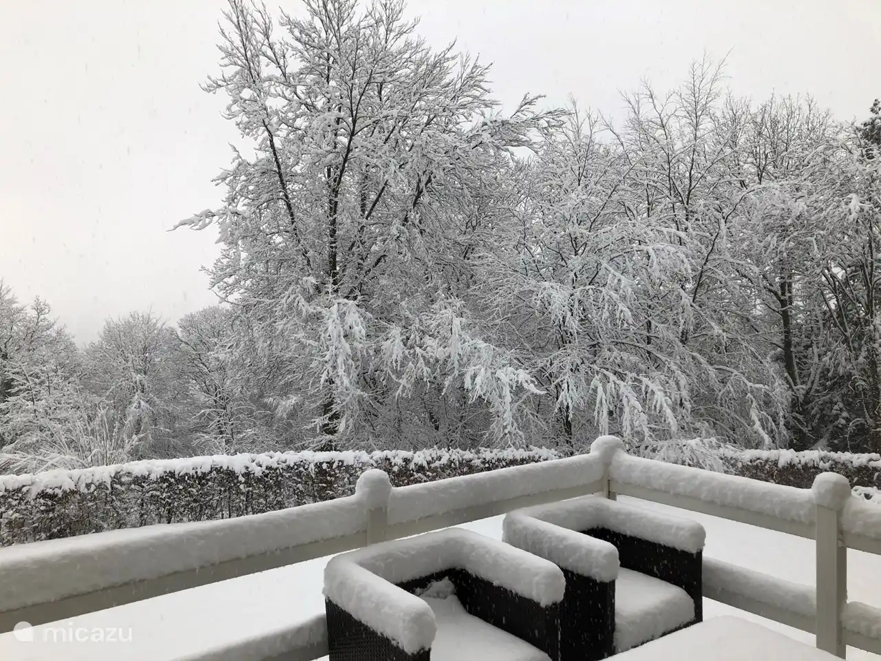 Schöne Ardennen in winterlicher Atmosphäre - meist im Januar oder Februar.
Privater Park in winterlicher Atmosphäre - in der Regel im Januar oder Februar - für viel Spaß mit den Kindern.