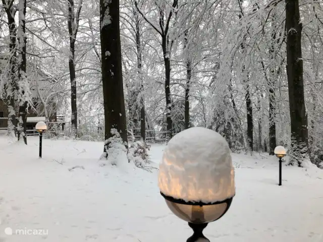 Le Soyeureux huren in België, Ardennen, Spa - landhuis / kasteel Privépark in winterse sfeer - meestal in januari of februari - voor veel plezier met de kinderen.