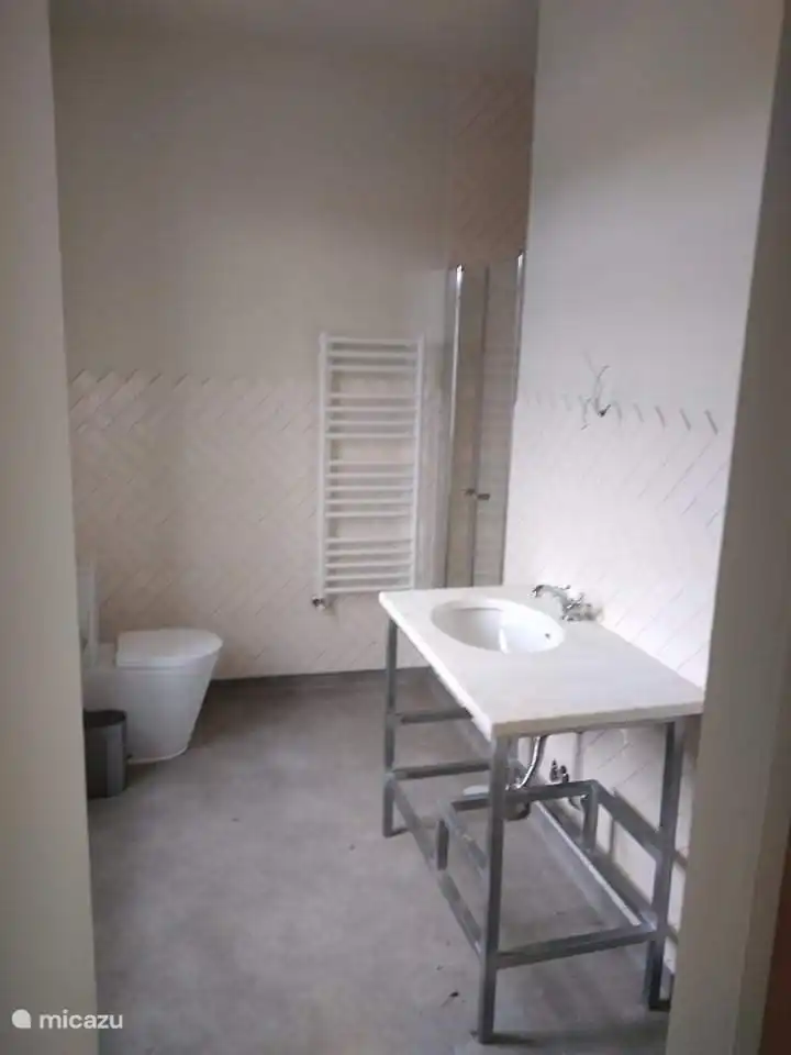 Badezimmer des Schwanenzimmers