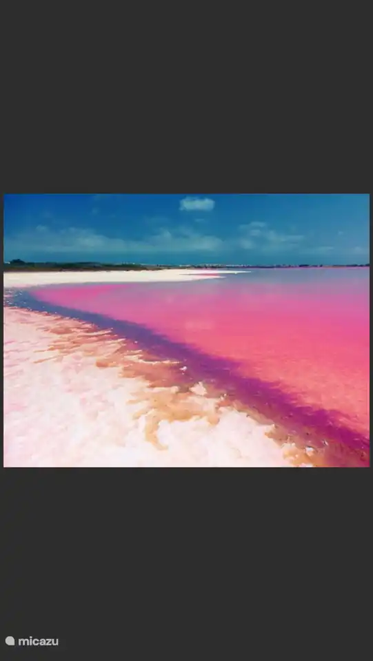 Les lacs salés roses accessibles à pied !