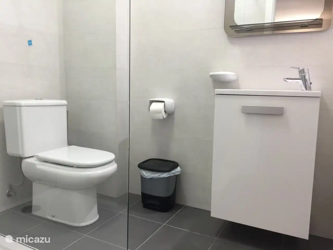 petite salle de bain avec lavabo, toilettes et douche