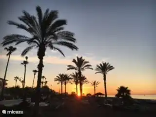 Every season you can enjoy the boulevard