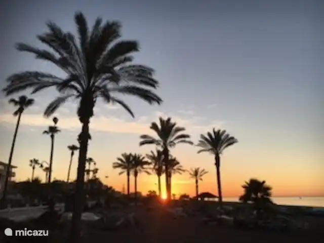 penthouse huren in Spanje, Costa del Sol, Torrox-Costa – Pama 2 Torrox Elk jaargetijde kun je genieten aan de boulevard