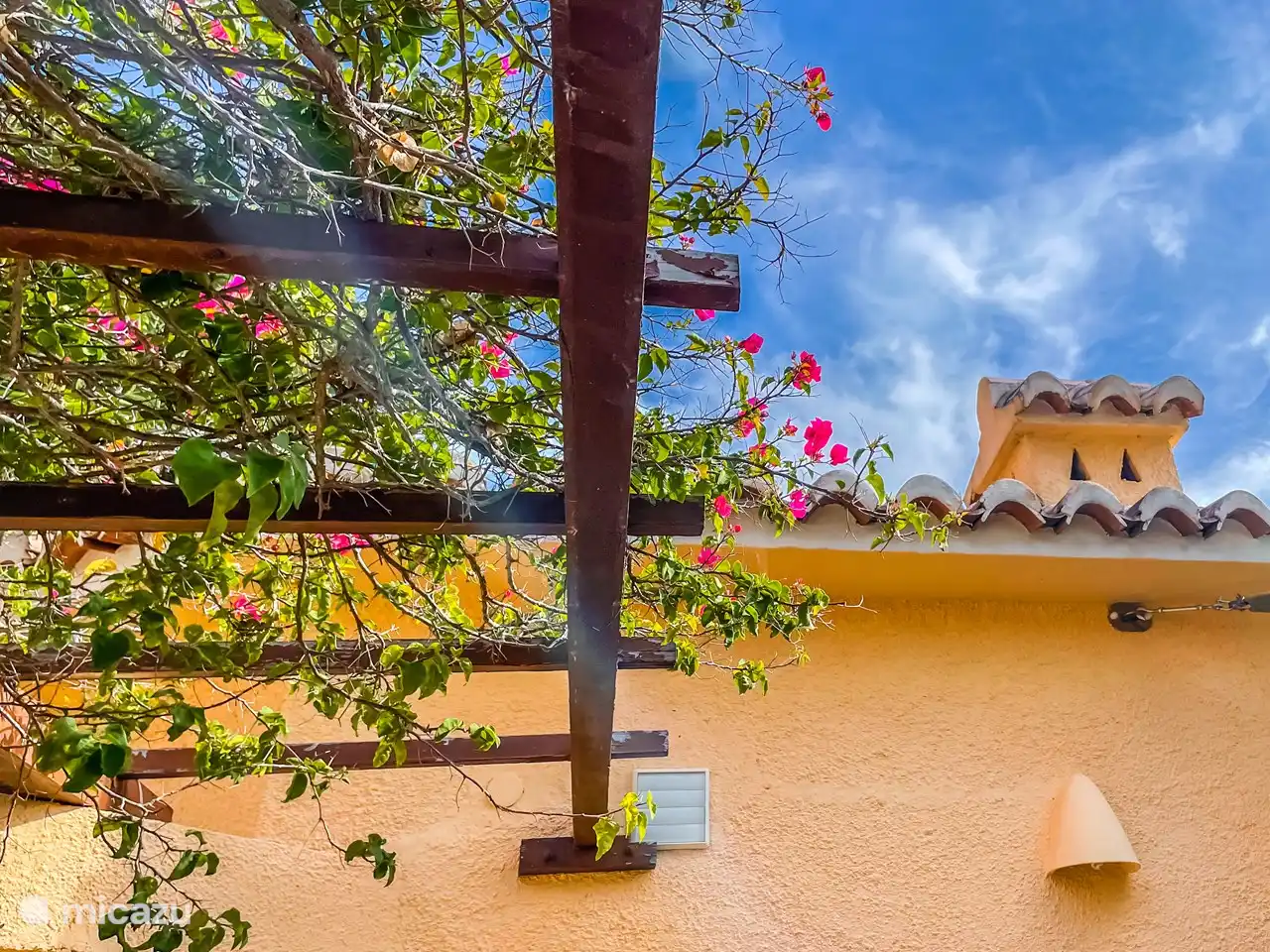 Merveilleux endroit ombragé en été