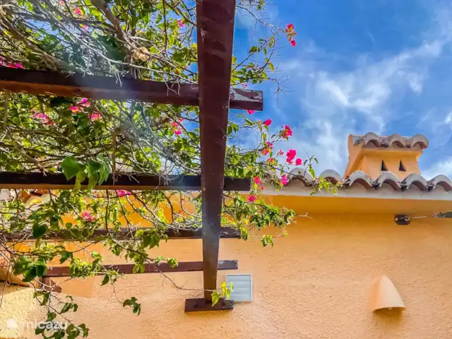 Location de Vacances Espagne, Costa Blanca, Teulada, villa - Villa Plaza Esmeralda Merveilleux endroit ombragé en été