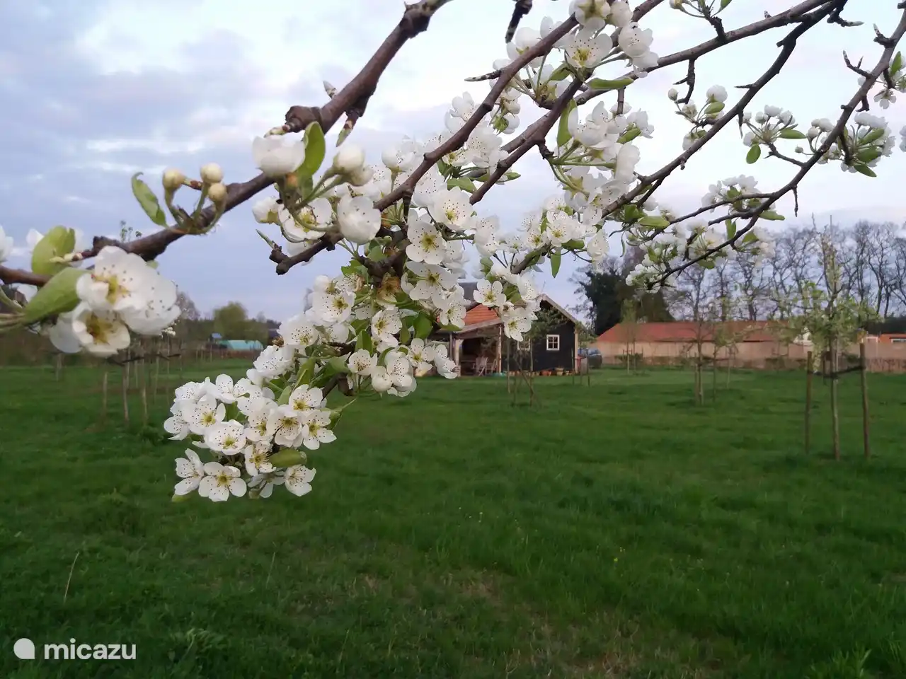 Blick in den Pflückgarten