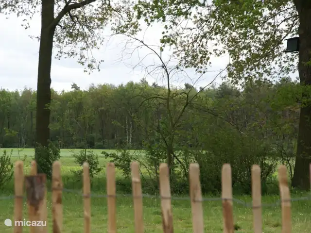 Location de Vacances Pays-Bas, Limbourg, Grashoek, maison mitoyenne - Au 7ème ciel 1 vue arrière