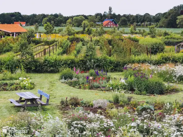Location de Vacances Pays-Bas, Limbourg, Grashoek, maison mitoyenne - Au 7ème ciel 1 Vue sur jardin de cueillette