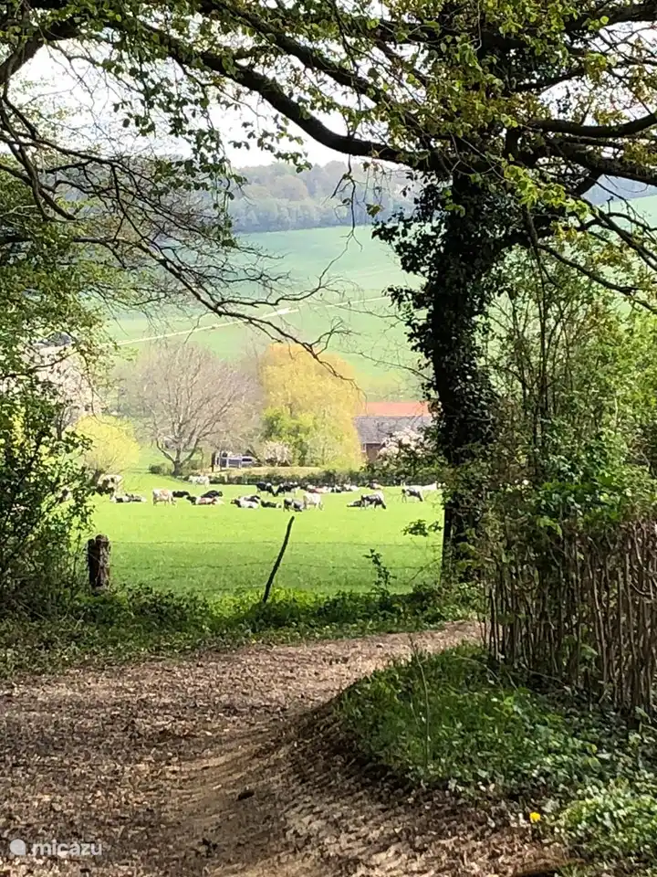 Diverse Wanderrouten verfügbar (direkt ab Haus)