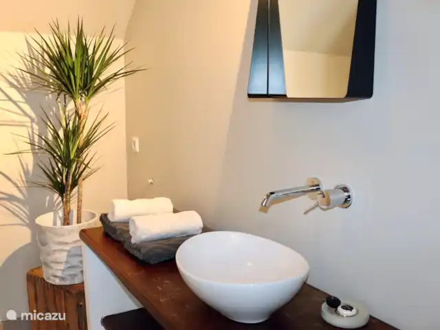 Location de Vacances Pays-Bas, Overijssel, Zwolle, studio - Le Wijdeland - studio salle de bain avec beau bois franc recyclé de l'ancienne ferme