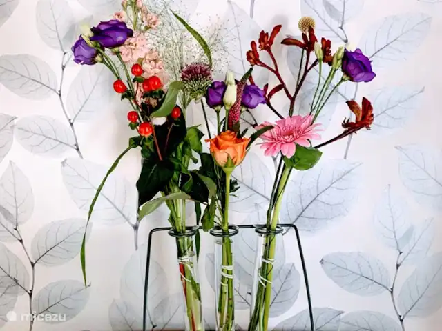 Location de Vacances Pays-Bas, Overijssel, Zwolle, studio - Le Wijdeland - studio toujours une fleur fraîche sur la table ;)