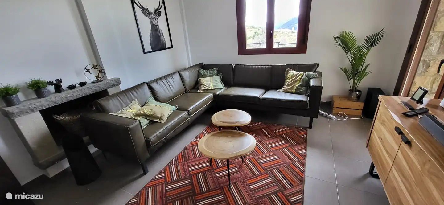 cozy living room (with new carpet)