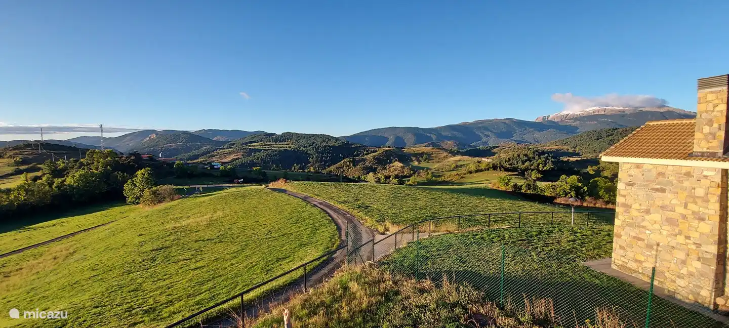 view from the garden