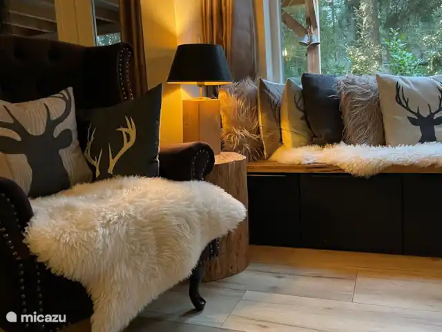 Wildlodge huren in Nederland, Gelderland, Emst (Epe) - vakantiehuis relaxen in de fauteuil of zitplek bij het grote raam in de living