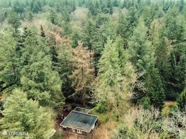 Wildlodge huren in Nederland, Gelderland, Emst (Epe) - vakantiehuis Lodge van bovenaf gezien met drone
