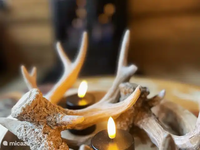 Wildlodge huren in Nederland, Gelderland, Emst (Epe) - vakantiehuis Decoratie lodge