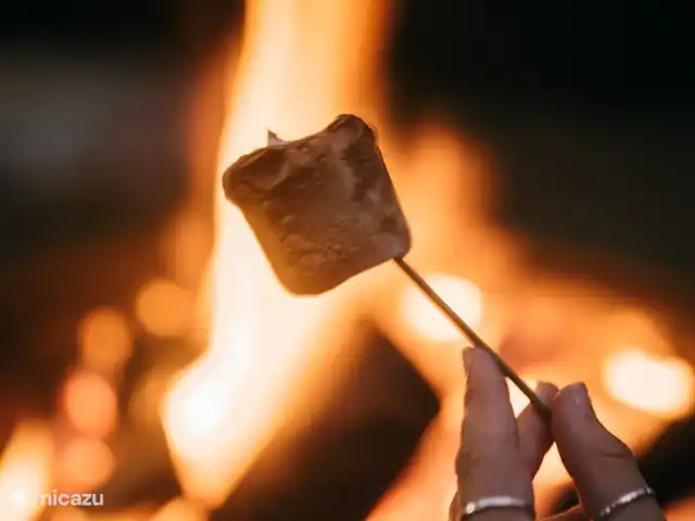 Wildlodge huren in Nederland, Gelderland, Emst (Epe) - vakantiehuis Marshmallows roosteren bij de vuurkuil.