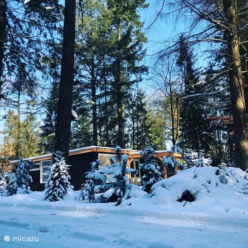 Quantité de neige unique, c'était pendant la tempête de neige Darcy #printemps2021