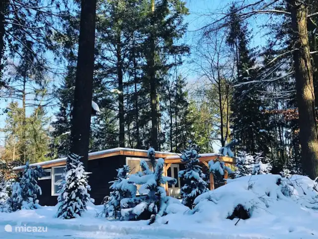 Wildlodge huren in Nederland, Gelderland, Emst (Epe) - vakantiehuis Uniek zoveel sneeuw, dit was tijdens sneeuwstorm Darcy #voorjaar2021