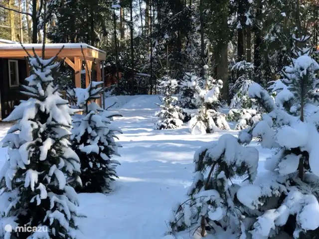 Wildlodge huren in Nederland, Gelderland, Emst (Epe) - vakantiehuis Winter 2022