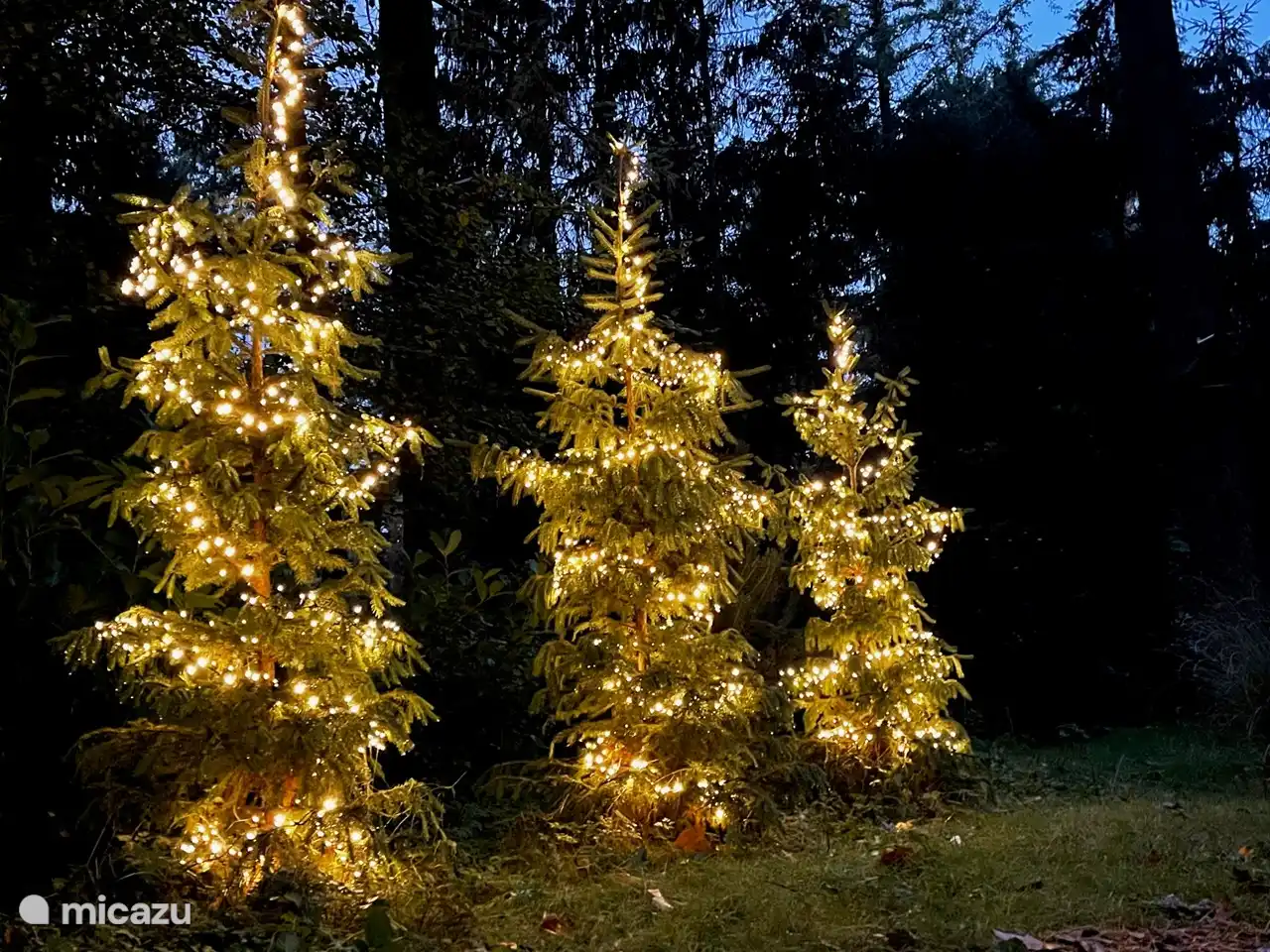 Le lodge dehors dans une ambiance de Noël, nous faisons cela chaque année !