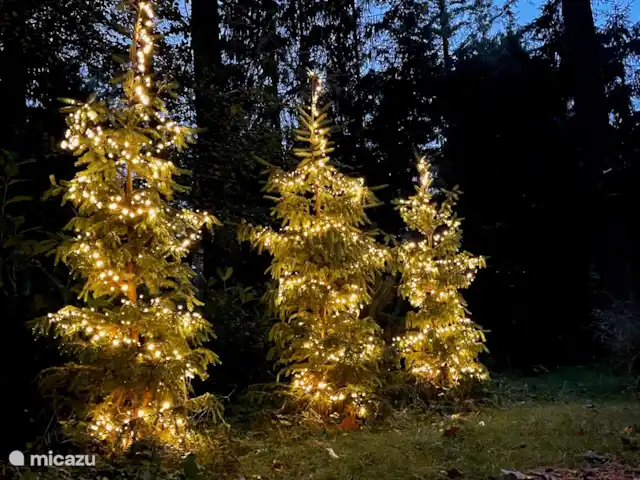 Wildlodge huren in Nederland, Gelderland, Emst (Epe) - vakantiehuis De lodge buiten in kerstsfeer, dit doen wij elk jaar!