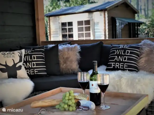 Wildlodge huren in Nederland, Gelderland, Emst (Epe) - vakantiehuis Loungen en genieten van het buitenleven onder de veranda.