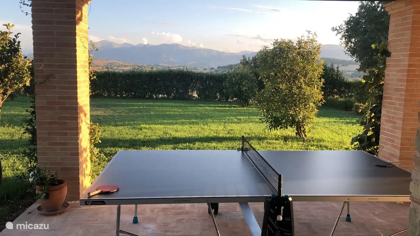 Ping-pong, pétanque...