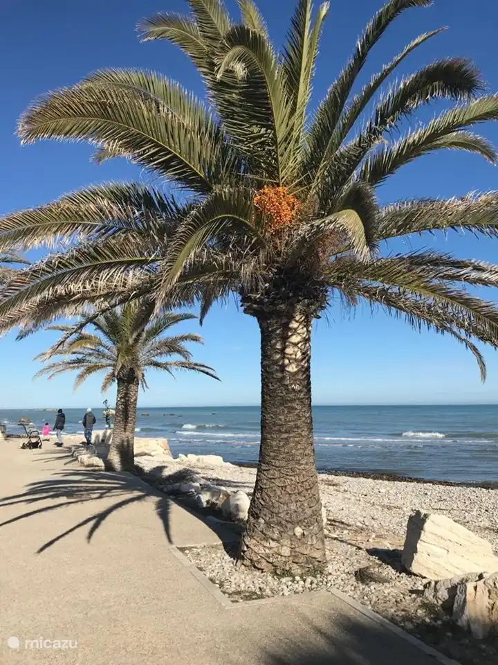 Spiaggia delle Palme - San Benedetto del Tronto