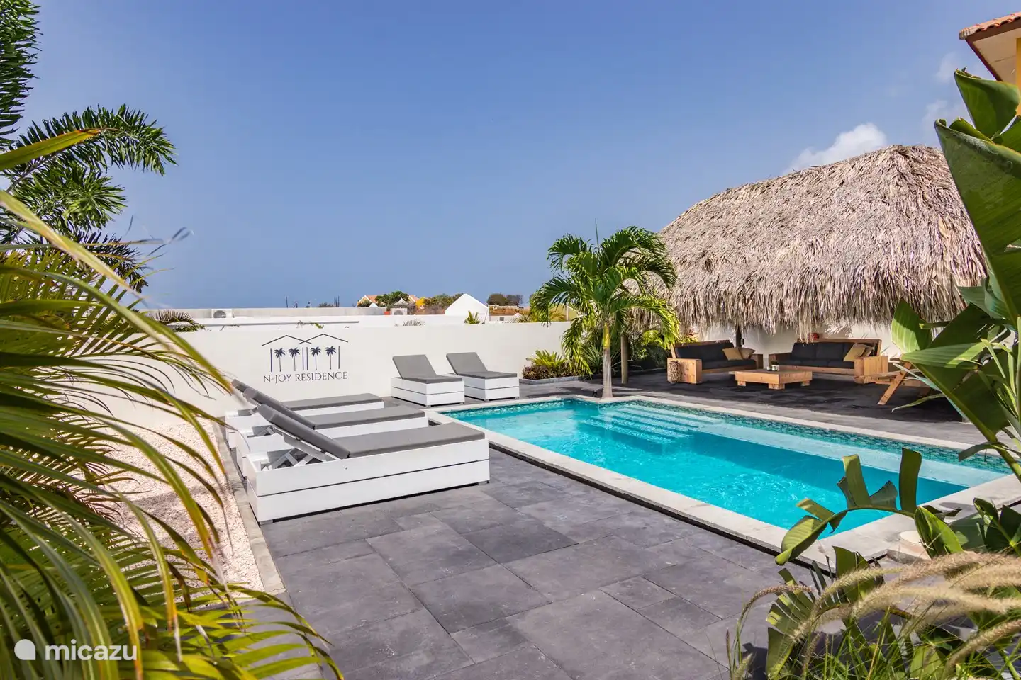 La piscine et la palapa communes