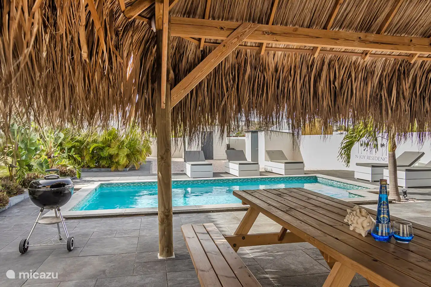 Vous pourrez profiter de l'ombre sous la palapa