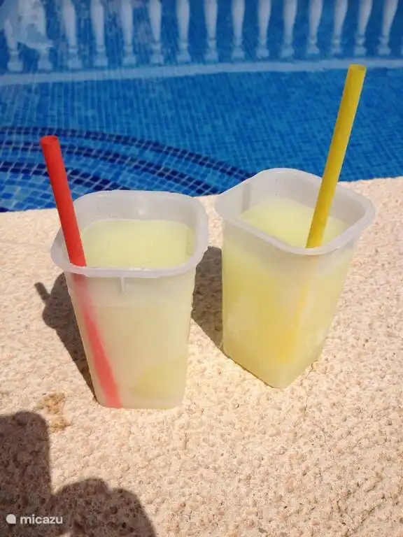 Cooling off at the pool