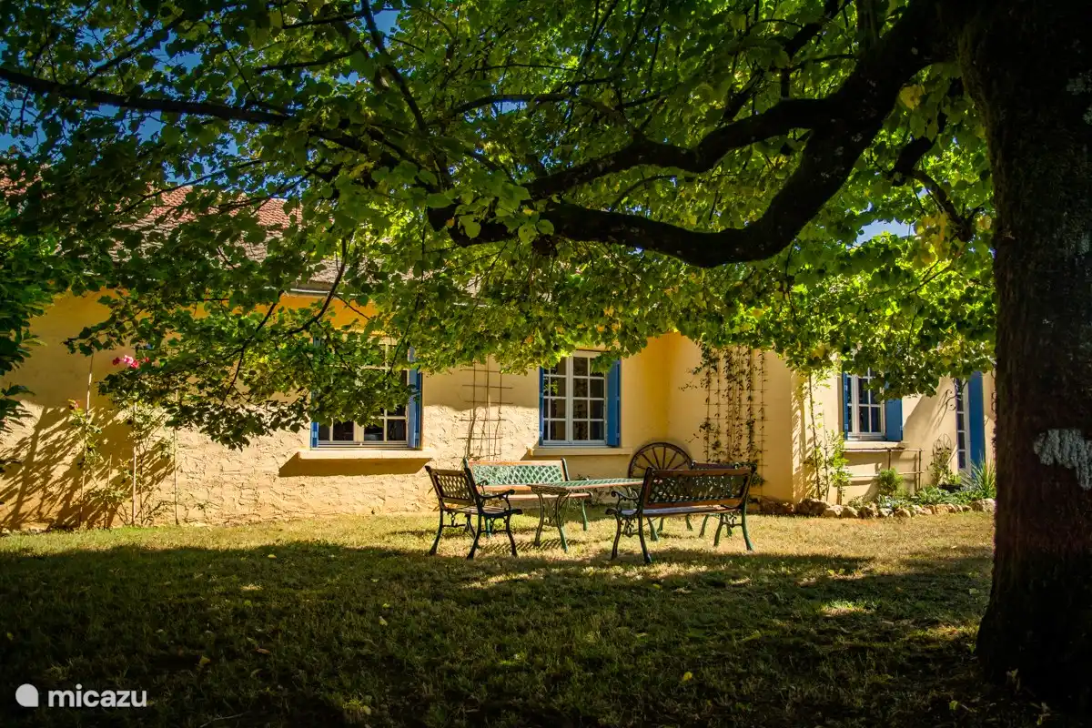 Prenez votre petit-déjeuner au soleil du matin.