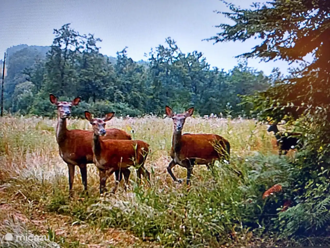 Au milieu de la nature.