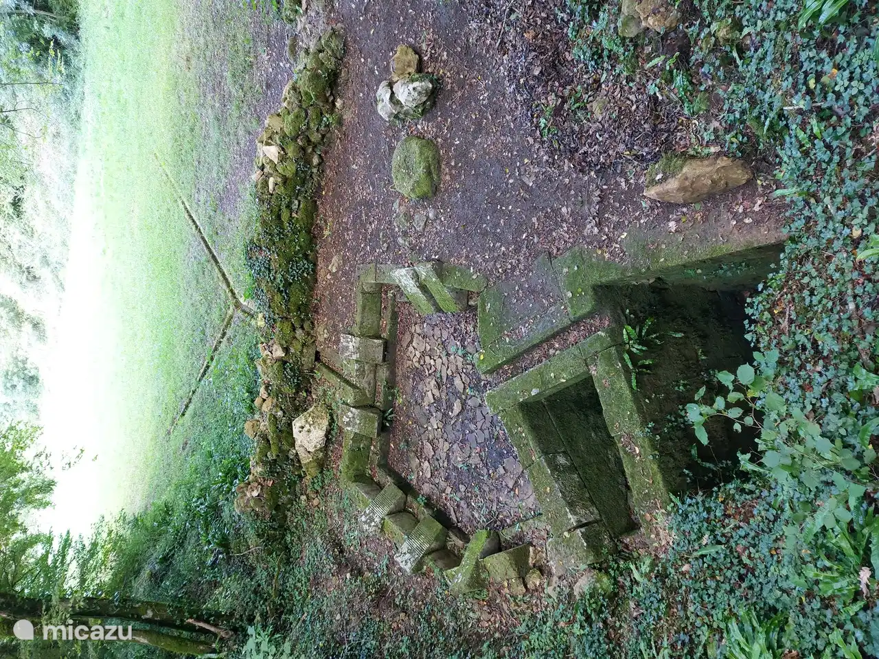 Belles balades directement au départ du gîte.