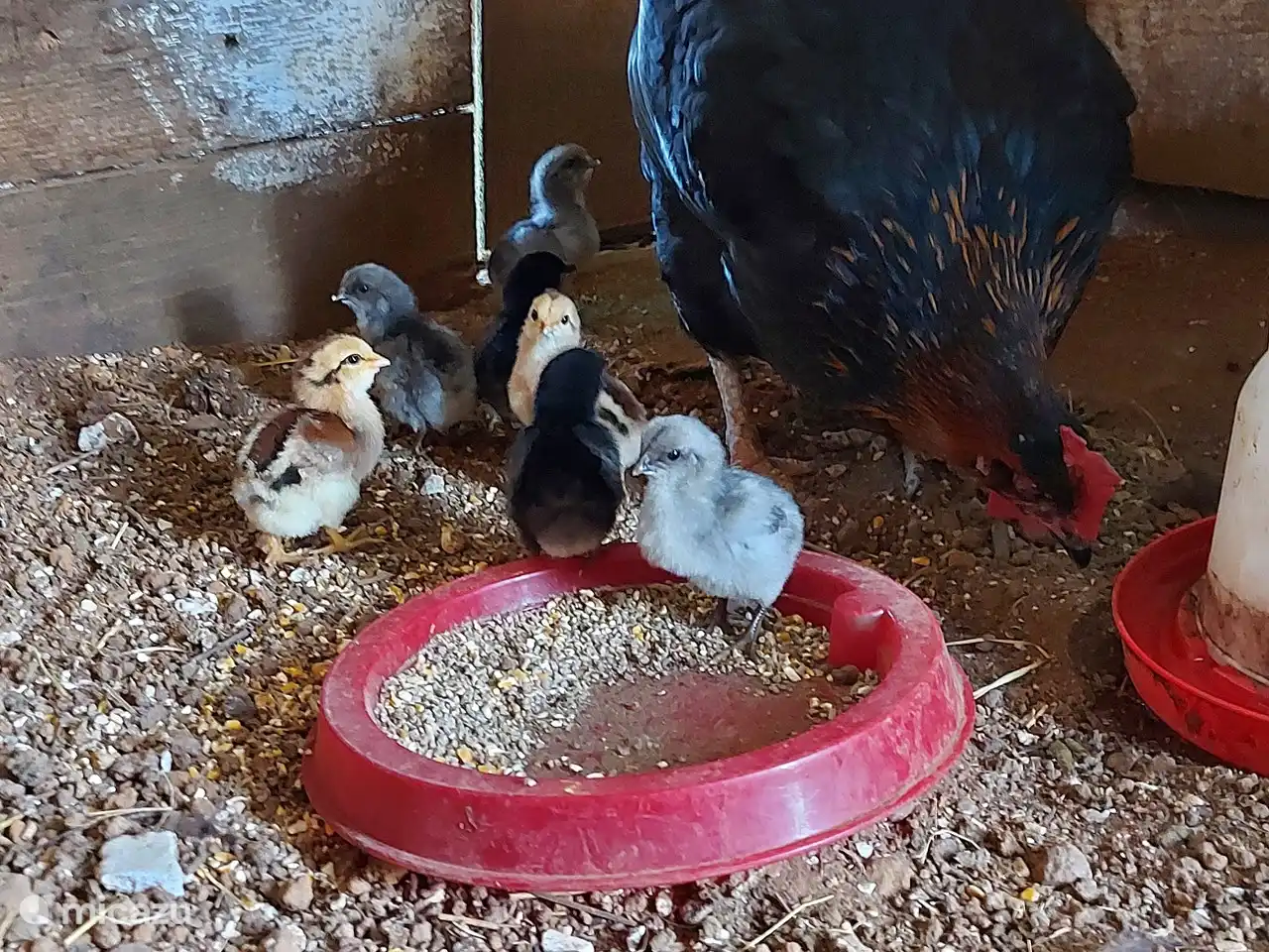 Nous sommes heureux de vous faire visiter la ferme !