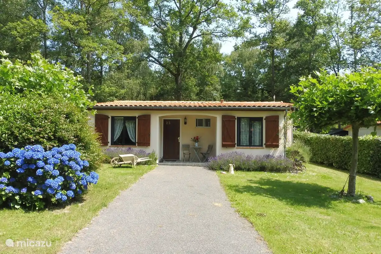 Book Village Le Chat at Micazu Micazu