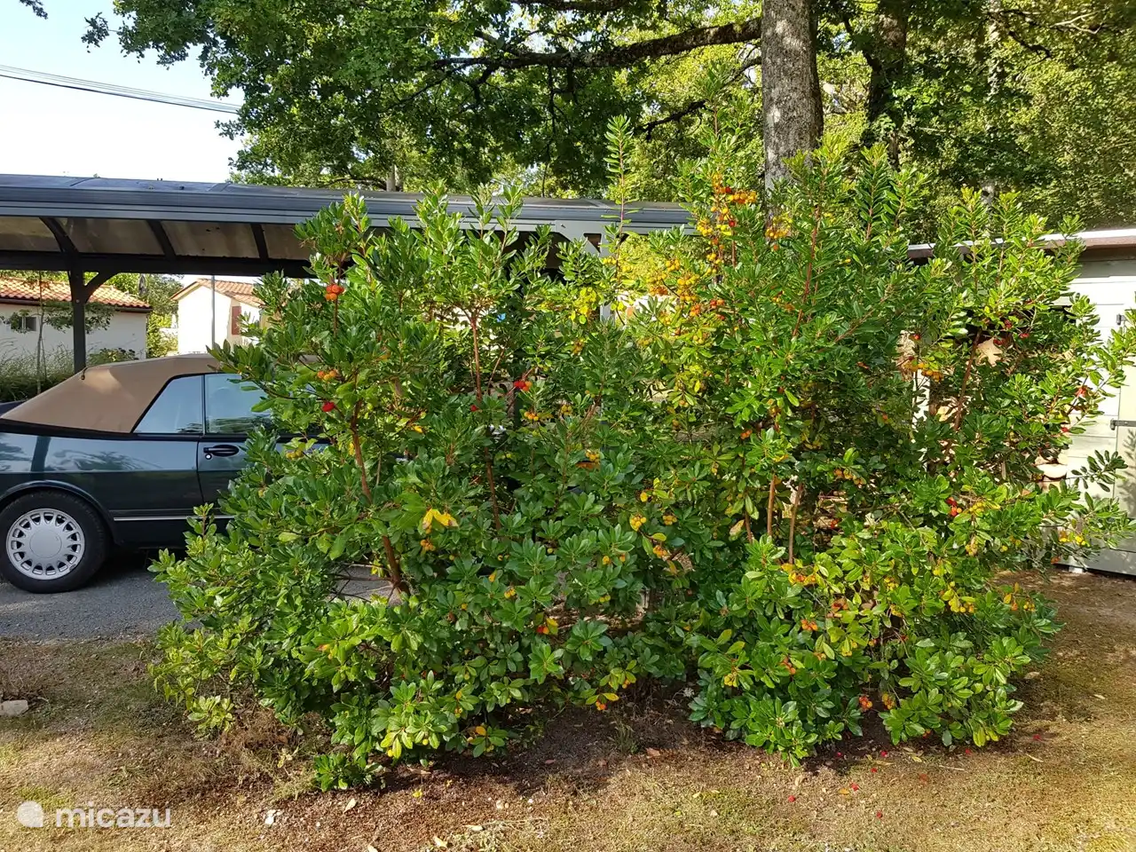 Place de parking couverte au bungalow