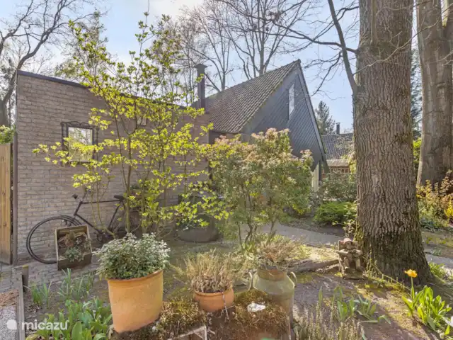 't Boshuis | Pays-Bas, Brabant-Septentrional, Baarle-Nassau - bungalow