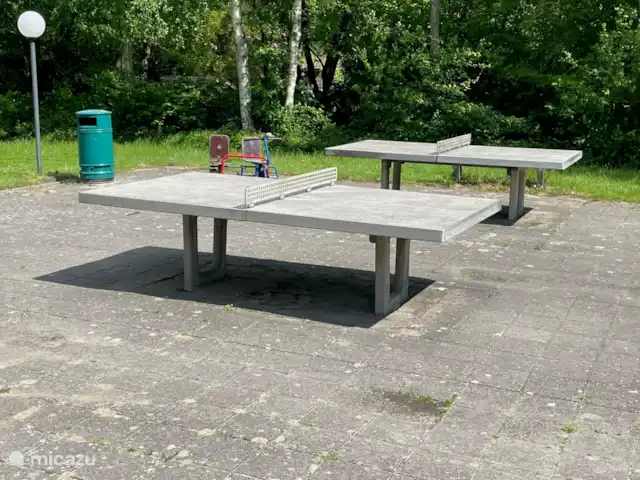't Boshuis | Pays-Bas, Brabant-Septentrional, Baarle-Nassau - bungalow Tables de ping-pong au parc