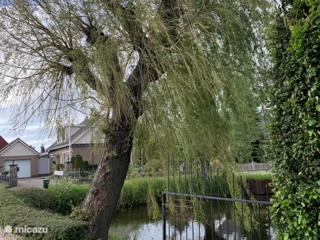 Maison au calme dans une belle campagne | Pays-Bas, Hollande méridionale, Groot Ammers - ferme Beaucoup de calme et de verdure dans la région