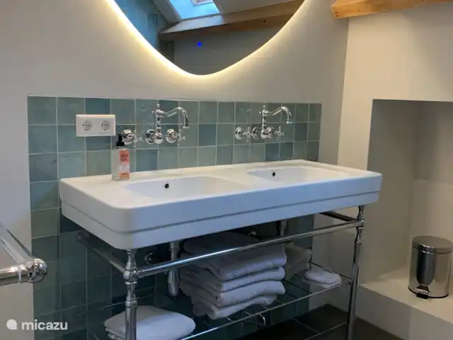 Maison au calme dans une belle campagne | Pays-Bas, Hollande méridionale, Groot Ammers - ferme Salle de bain avec double vasque, un WC avec un siège en bois et une douche spacieuse avec un large jet et un siège