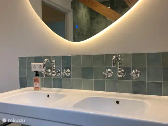 Maison au calme dans une belle campagne | Pays-Bas, Hollande méridionale, Groot Ammers - ferme Salle de bain avec double vasque, un WC avec un siège en bois et une douche spacieuse avec un large jet et un siège